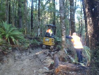 Roughing out the Kaka Track, Teetotal