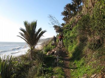 Riding the coastal section south from Heaphy Hut