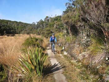 Skirting the Mackay Downs between Saxon and James Mackay huts