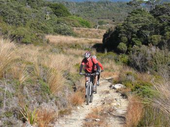 On the climb back from Gouland Hut to Perry Saddle.