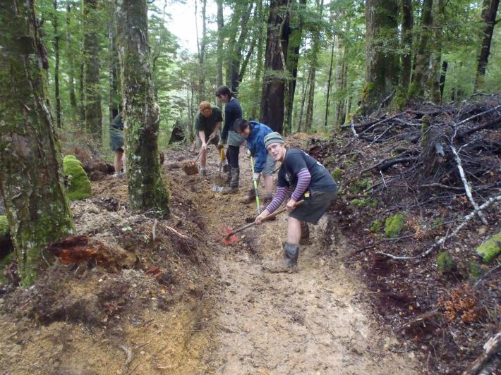 Shaping the tread, Kaka Track